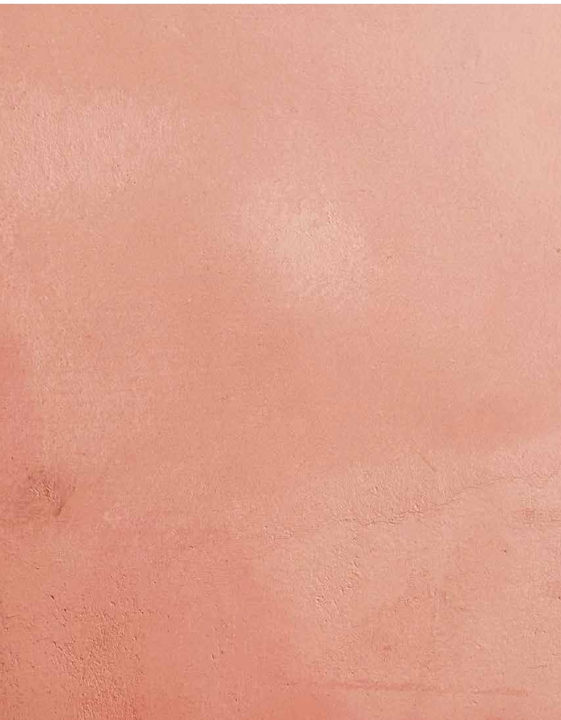 Rosa Flamingo